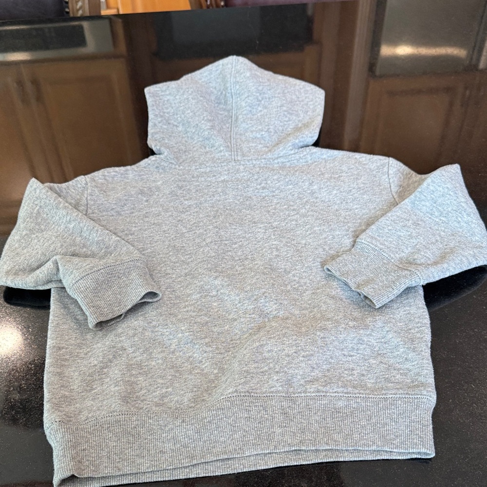 Gray Dinosaur fleece Hoodie for Kids - Picture 7 of 8